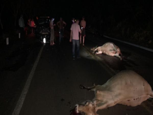 Impacto provocou a morte de três vacas (Foto: Reprodução/Site TIRSUL)