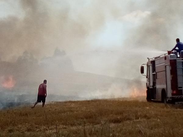 Incêndio foi controlado por moradores e equipe de atendimento de incêndio de Tenente Portela (Foto: Felipe Santos)