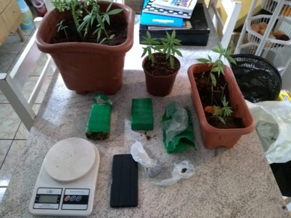 Vasta diversidade de drogas foi apreendida pela Polícia - Foto: PC divulgação