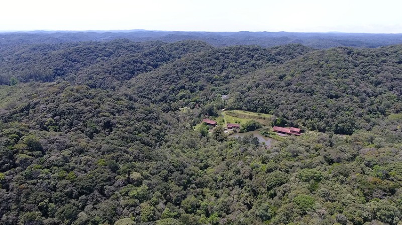 Instituto Terra Luminous