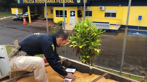 Mercadoria foi avaliada em cerca de R$ 2 milhões (Foto: Divulgação/PRF)