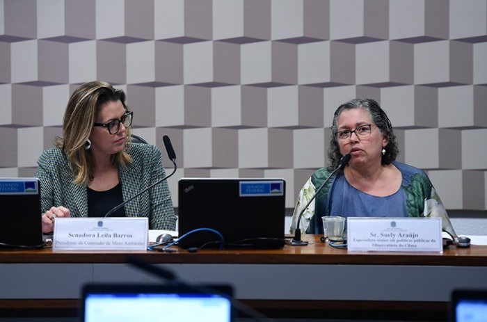 No comando da comissão, Leila Barros ouve Suely Araújo, do Observatório do Clima - Foto: Edilson Rodrigues/Agência Senado