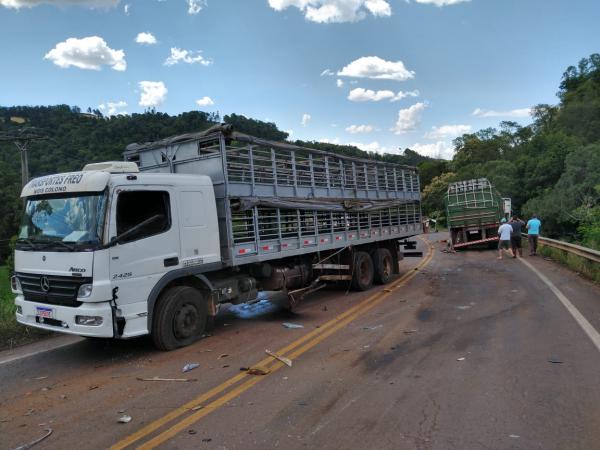 Acidente de trânsito ocorreu a poucos metros da conhecida 'curva da morte' (Fotos: Eduardo Salvadori)