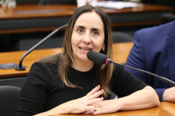Adriana Ventura recomendou a aprovação da proposta - (Foto: Billy Boss/Câmara dos Deputados)