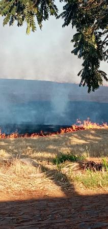 Foco de incêndio registrado em Tenente Portela (Fotos e Imagens: Paulo Beck)