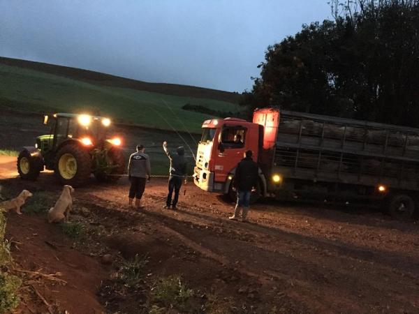 Trator teve que rebocar os dez veículos carregados com suínos (Fotos: Maristani Martins)