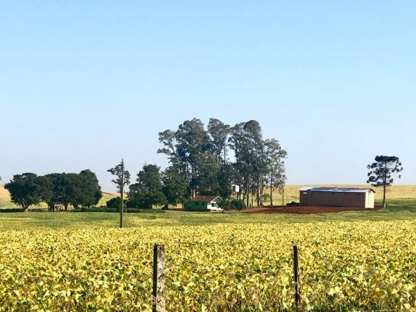 No dia 30 deste mês, termina o prazo para que os produtores rurais façam a adesão ao Programa de Regularização Rural (Foto: Diones Roberto Becker)