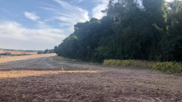 Redução da chuva no Norte e Noroeste do Estado preocupa mais, porque é uma área de produção agrícola (Foto: Diones Roberto Becker)