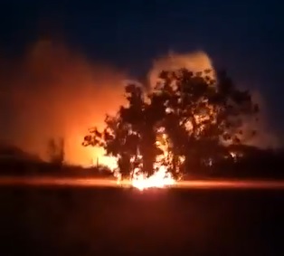 Queda de um poste de energia elétrica teria provocado o fogo em áreas agrícolas no interior de Crissiumal (Foto: Reprodução/WhatsApp)