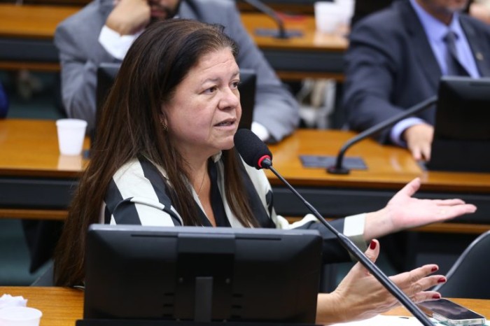 Deputada Laura Carneiro, relatora do projeto de lei - (Foto: Vinicius Loures/Câmara dos Deputados)