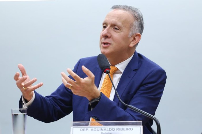 Aguinaldo Riberio, relator da reforma tributária - (Foto: Vinicius Loures / Câmara dos Deputados)