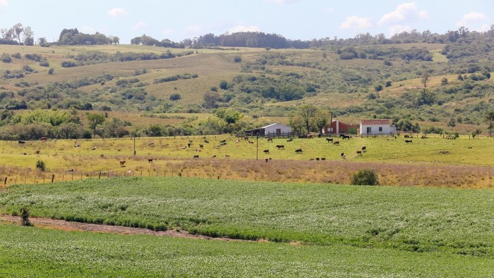 Pampa em Bagé (RS). Crédito: Marcos Nagelstein/MTur Destinos