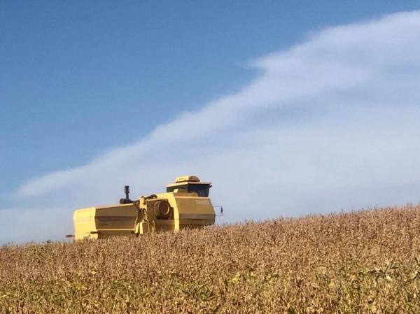 De acordo com coordenadora do IBGE, a agropecuária é a única que está crescendo no ano, muito puxada pela produção de soja (Foto: Diones Roberto Becker)
