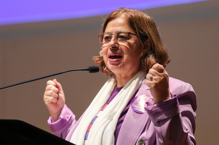 A ministra das Mulheres, Cida Gonçalves, foi convidada para a audiencia pública