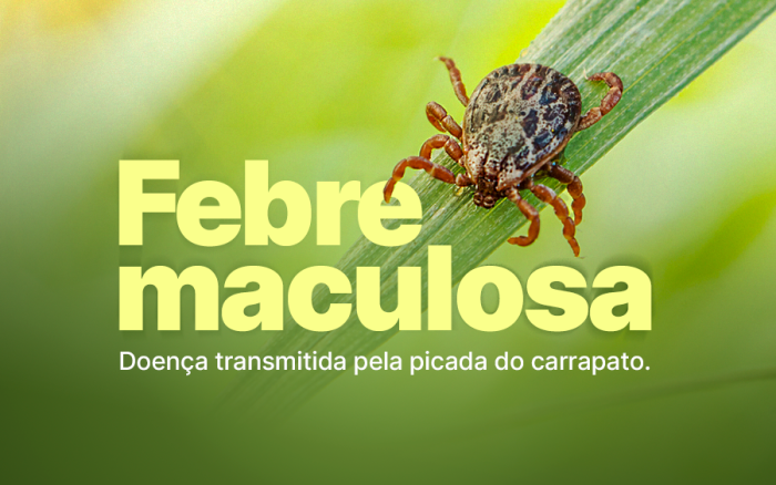 Foto: Reprodução/Secom SC