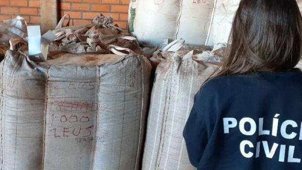 Operação desencadeada em agosto deste ano resultou na apreensão de 450 toneladas de sementes de soja piratas (Foto: Divulgação/Polícia Civil)