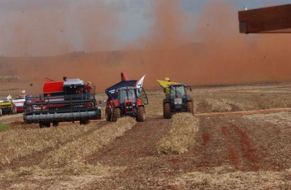 IBGE estima em 225,8 milhões de toneladas a safra de cereais, leguminosas e oleaginosas deste ano. (Foto: Arquivo/Agência Brasil)