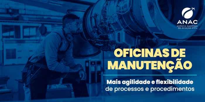 Foto: Reprodução/Anac