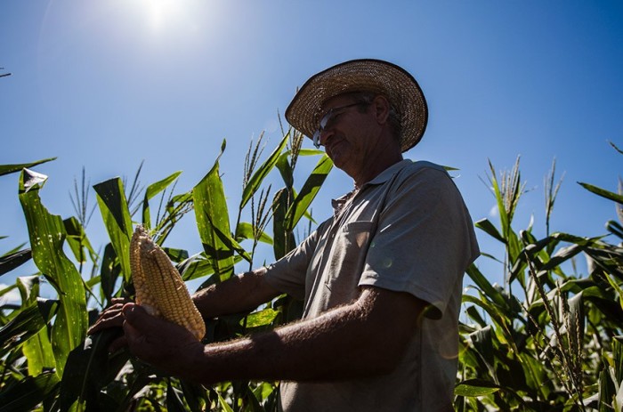 O Pronater executa a Política de Assistência Técnica e Extensão para Agricultura Familiar e Reforma Agrária - Foto: Arison Jardim/Secom-AC