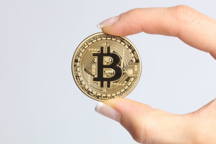 O bitcoin foi a primeira moeda virtual criada no mundo - (Foto: Tim Reckmann)