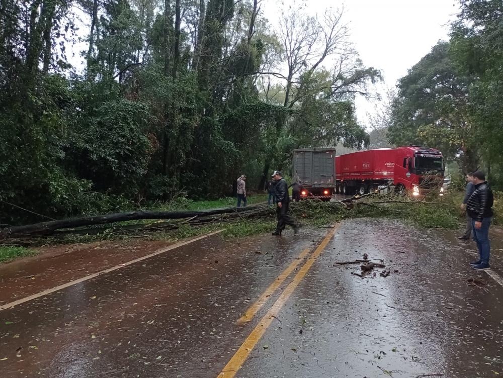 Trânsito está interrompido na BR-468 (Foto: Via WhatsApp)