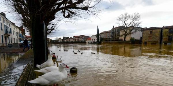 Foto: (Mehdi Fedouach / AFP / CP)