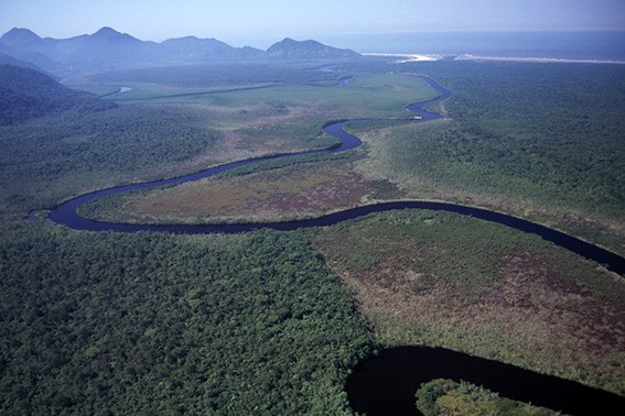Rio Una - Juréia (SP) - Foto: Zig Koch / Banco de Imagens ANA