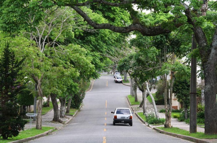 O texto determina que União, estados, DF e municípios elaborem planos de arborização urbana - Foto: Jaelson Lucas/SMCS
