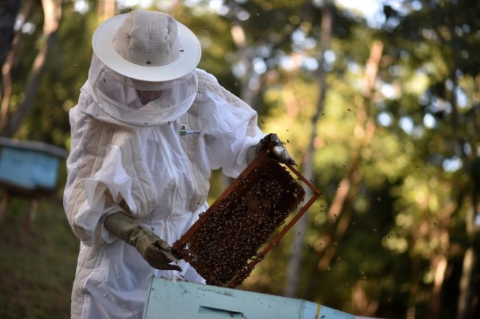Política busca garantir padrão elevado de qualidade de produtos e serviços - (Foto: André Borges/Agência Brasília)