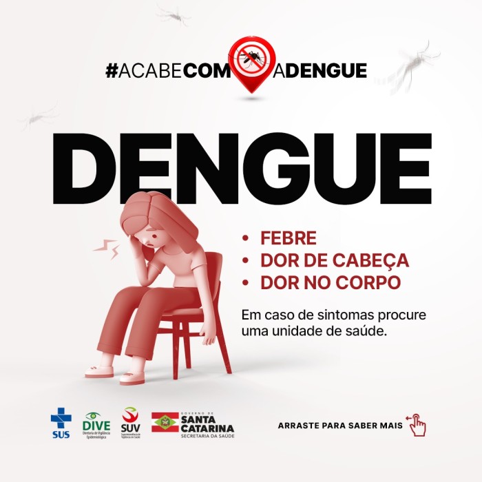 Foto: Reprodução/Secom SC