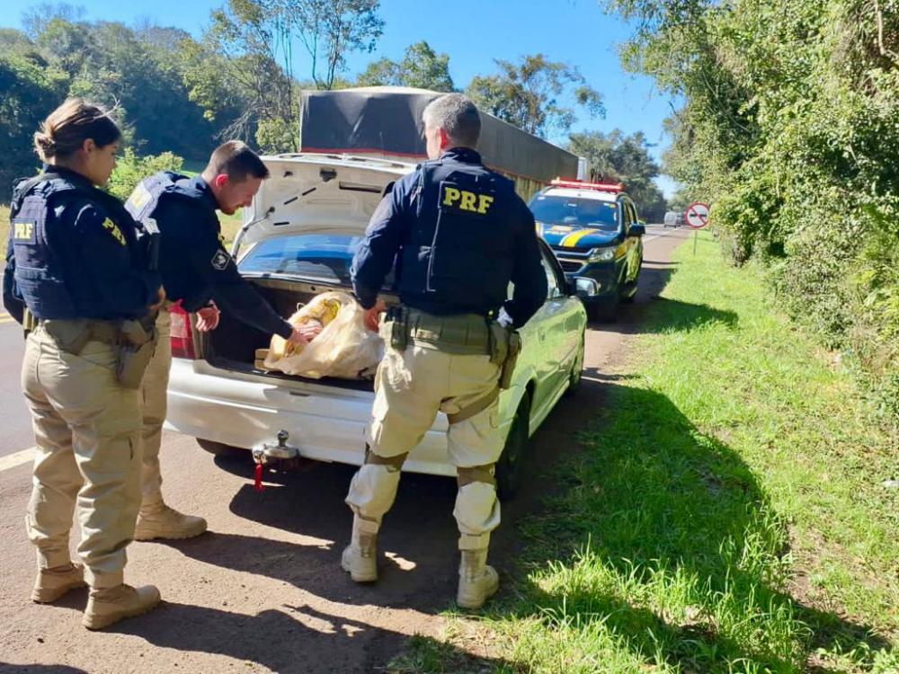 Apreensão foi realizada pela Polícia Rodoviária Federal (Foto: PRF)
