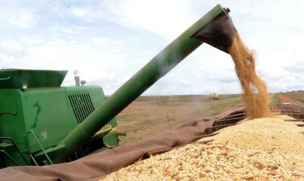 Foto: (Arquivo/Agência Brasil)