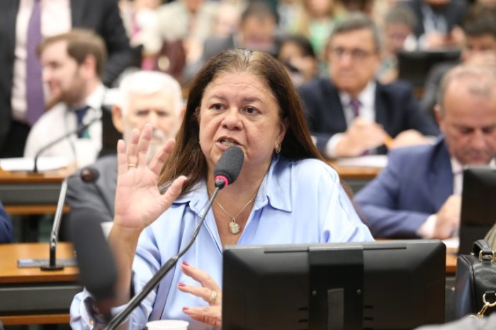 Laura Carneiro, relatora do projeto na CCJ - (Foto: Vinicius Loures/Câmara dos Deputados)