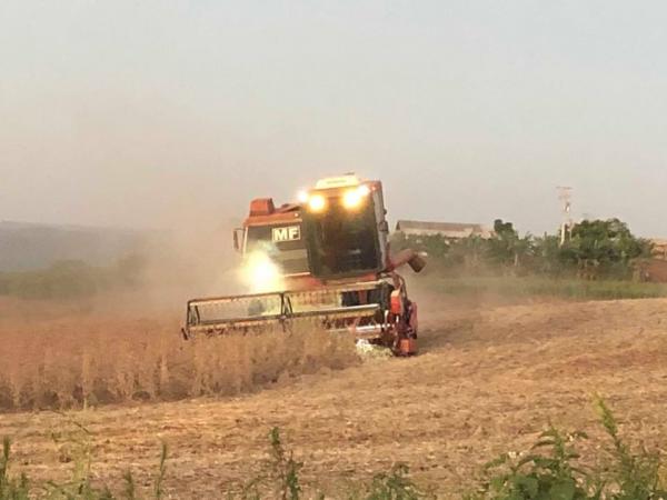 Produção total de soja deve registrar um crescimento de 7,9 milhões de toneladas se comparado com a safra 2019/2020 (Foto: Diones Roberto Becker)