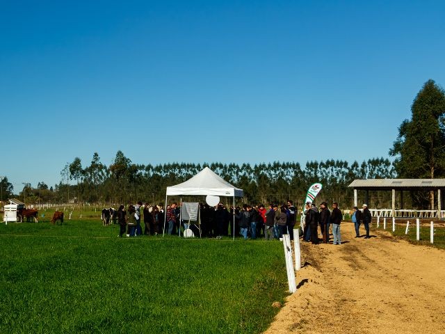 Foto: Reprodução/Secom SC