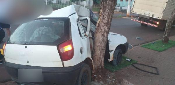 Fiat Pálio colidiu contra árvore que fica no passeio público ao lado da Avenida Presidente Vargas (Foto: Reprodução/Observador Regional)