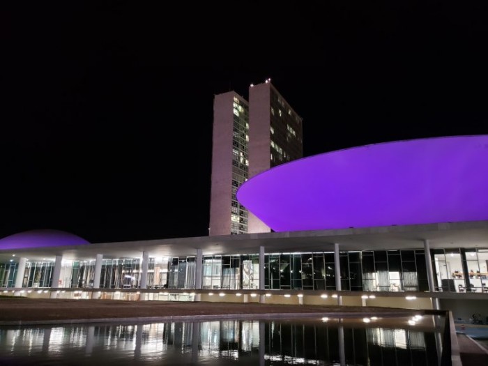 O Congresso iluminado de lilás em anos anteriores - (Foto: Pierre Triboli/Câmara dos Deputados)