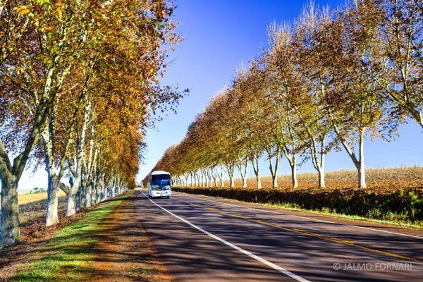 Revisão das tarifas do transporte intermunicipal será parcelada em duas etapas. (Foto: Jalmo Fornari)