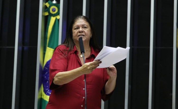 Laura Carneiro, relatora do projeto de lei - (Foto: Bruno Spada/Câmara dos Deputados)