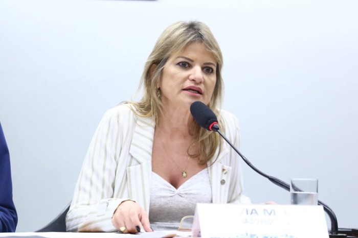 Para Flávia Morais, aumento da pena promoverá punição mais justa ao autor de feminicídio - (Foto: Vinicius Loures/Câmara dos Deputados)