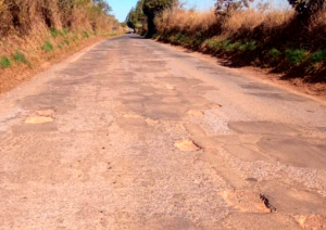 Algumas rodovias mineiras apresenta problemas de manutenção - (Foto: DER-MG)
