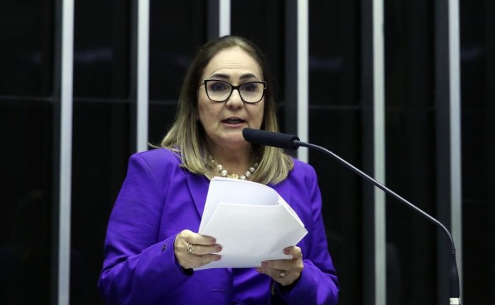 Professora Goreth, relatora do projeto - (Foto: Bruno Spada/Câmara dos Deputados)