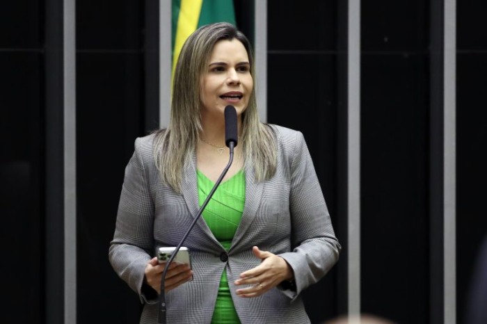 Relatora recomendou a rejeição do projeto principal, que previa pagamento aos familiares - (Foto: Bruno Spada/Câmara dos Deputados)
