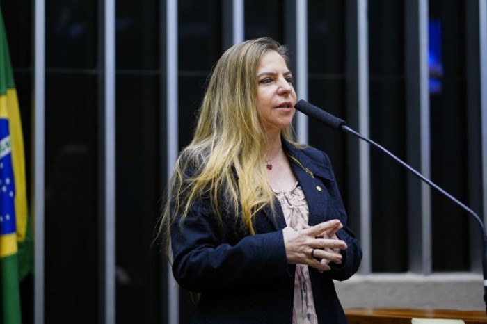 Luizianne Lins propôs o debate - (Foto: Pablo Valadares/Câmara dos Deputados)