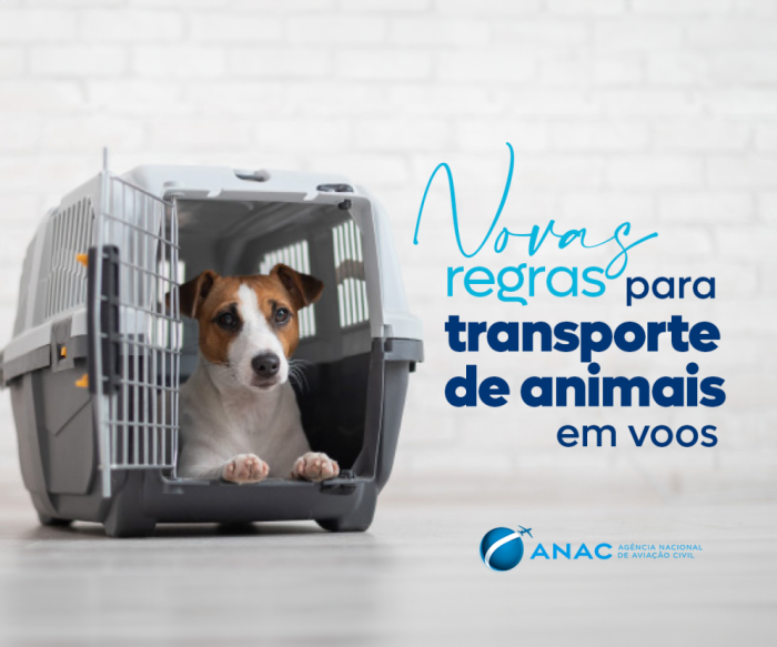Foto: Reprodução/Anac