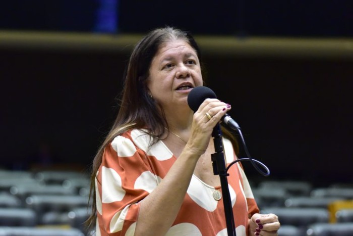 A relatora, deputada Laura Carneiro, recomendou a aprovação da proposta - (Foto: Zeca Ribeiro / Câmara dos Deputados)