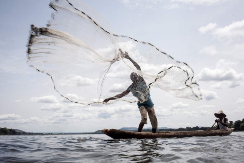 Imagem Pesca com rede por Vox Populi