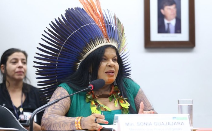Sonia Guajajara: Ministério da Justiça avaliará eventuais dúvidas sobre demarcações - (Foto: Vinicius Loures / Câmara dos Deputados)