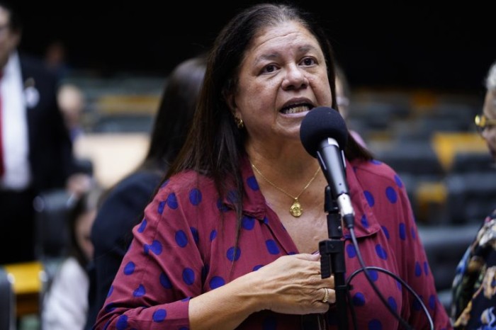 A relatora, deputada Laura Carneiro, recomendou a aprovação da proposta - (Foto: Pablo Valadares/Câmara dos Deputados)