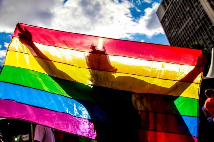 Desde 2011, STF reconhece união homoafetiva como núcleo familiar - (Foto: Paulo Pinto/FotosPublicas)